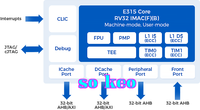 E315
