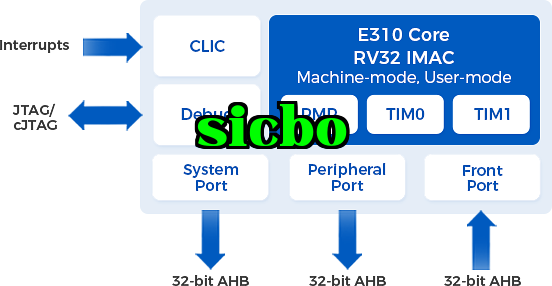 E310