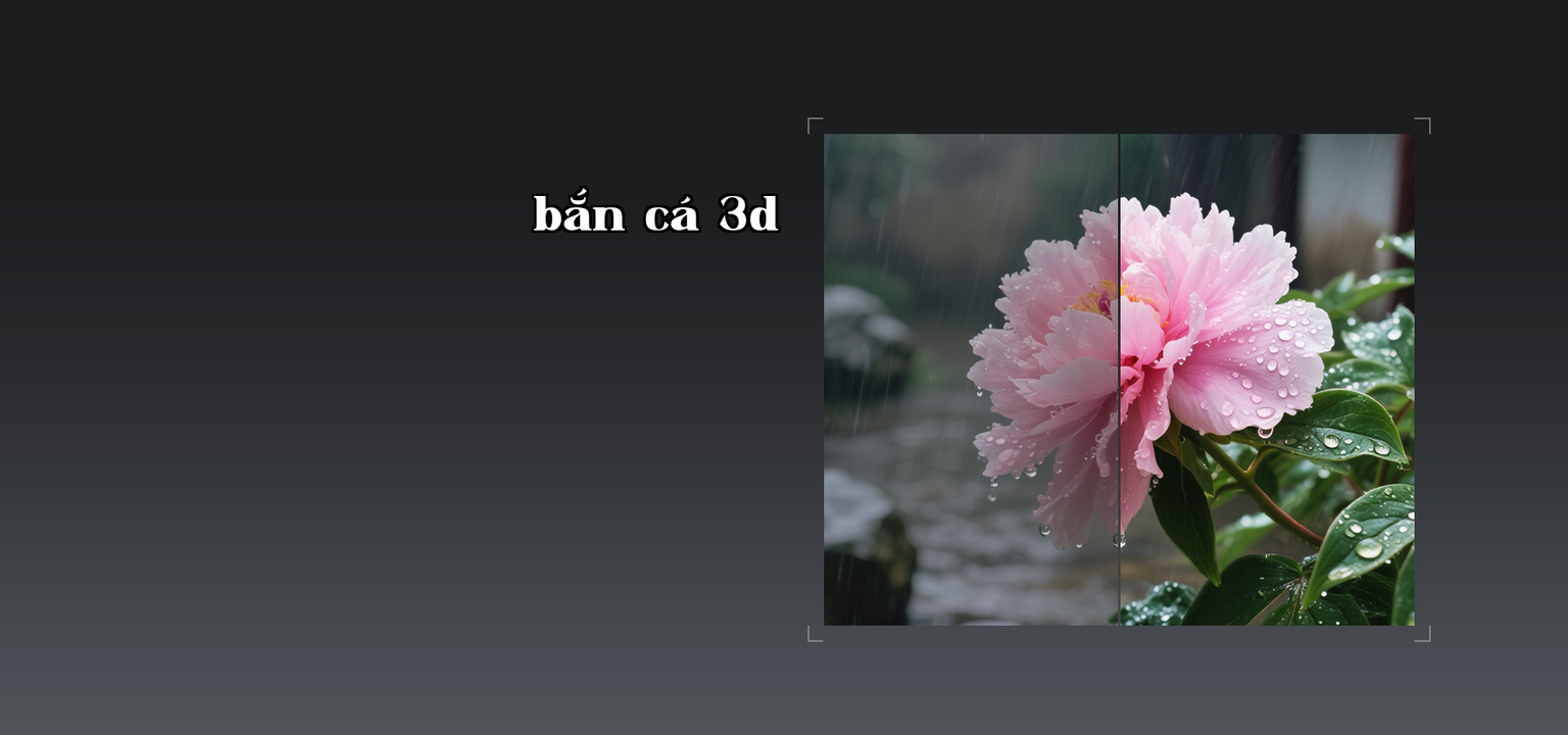 ISP and Image Enhancement Technology